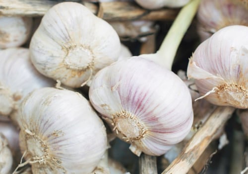 Garlic and Inflammation: A Comprehensive Look at the Anti-Inflammatory Properties of Garlic